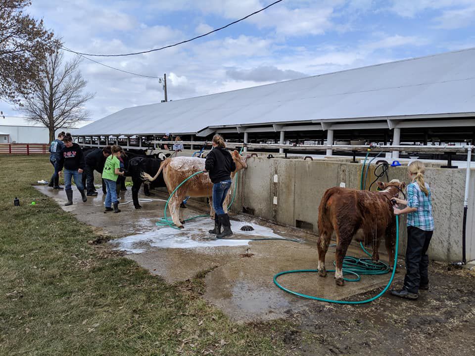 Cattle workshop.jpg